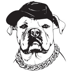 Drawing_of_Aggressive_American_BullDog_with_Cap