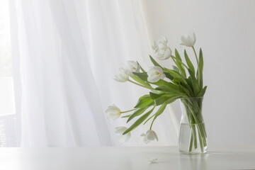 white tulips in glass vase in white interior
