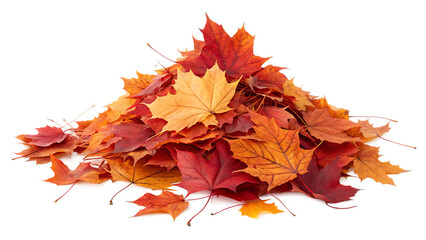 maple autumn leaf pile isolated on white background PNG. AI GENERATED