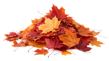 maple autumn leaf pile isolated on white background PNG. AI GENERATED