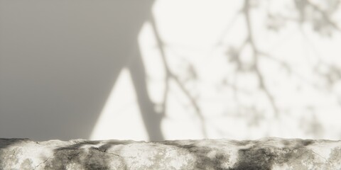Natural Stone Surface with Botanical Shadow – Minimal 3D Background for Product Display