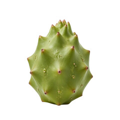 Naklejka premium Green Spiky Fruit: Close-up View