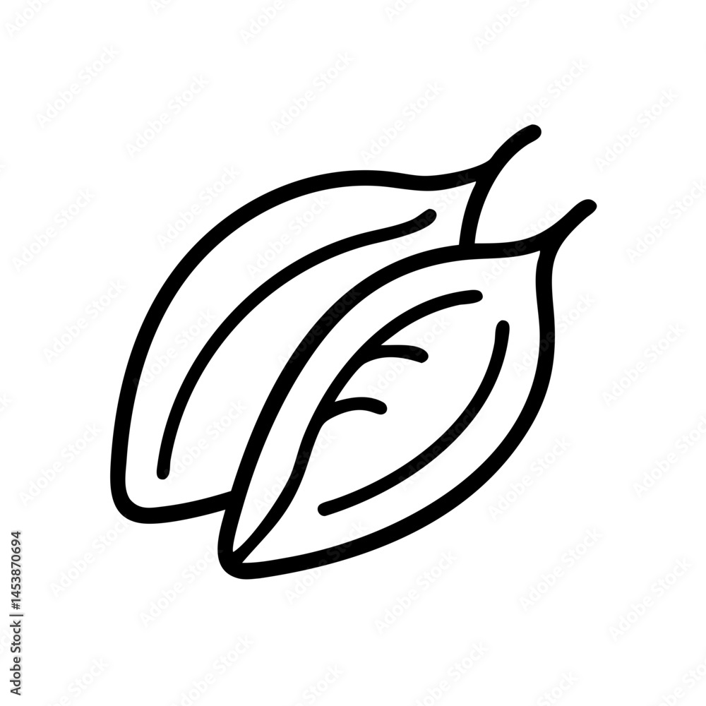 Poster cacao pod on transparent background for web and graphic design