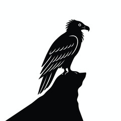 eagle on a white background