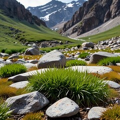 White flowers with green leaves grow at the foot of the mountain.