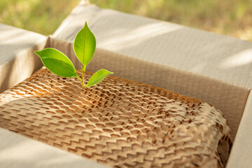 Green leaf on eco friendly brown paper honeycomb wrap for product packaging parcel carton box