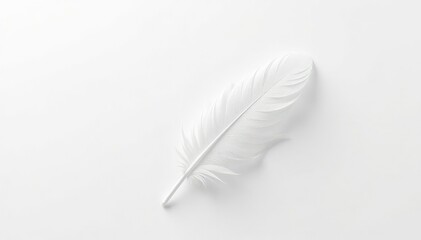 Obraz premium A single white feather floating on a stark white background, bird, isolated, wildlife