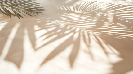 Obraz premium Light beige shadows of palm leaves on a light surface.