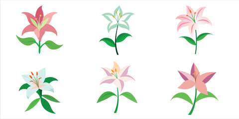 Set of Lily Flowers Vector Illustration on White Background, Bundle of 6 Flowers