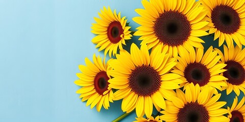 Obraz premium Vibrant yellow sunflowers cluster on a textured blue background Summer sale, Mother's Day, image, botany