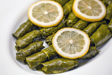 Close-up of tightly rolled, glossy dark green yaprak sarma, a traditional Turkish dish, arranged on...