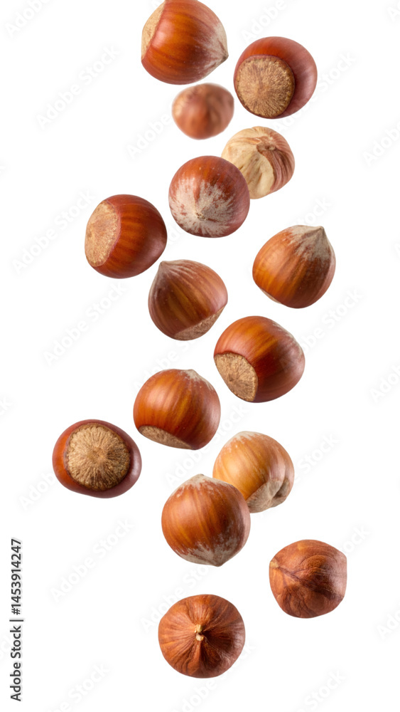 Poster hazelnuts falling down with realistic texture and natural lighting on transparent background