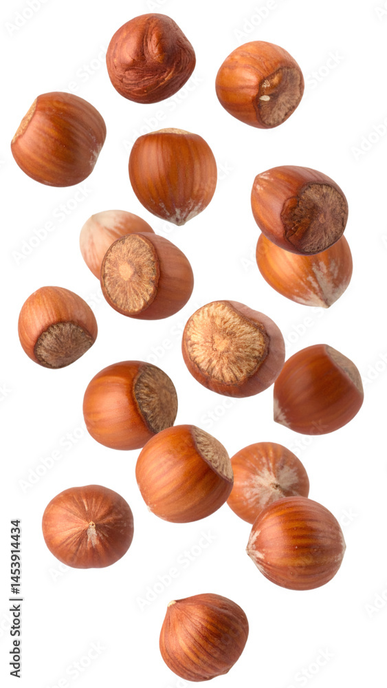 Poster hazelnuts hovering on transparent background with realistic texture and natural lighting