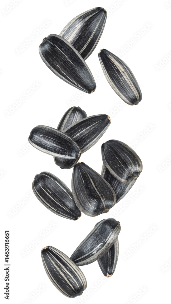 Poster sunflower seeds falling against a transparent background, creating a dynamic and natural composition