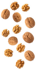 Walnuts with shell and peeled walnuts falling on transparent background