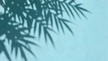 Shadows of tree branches on a green wall