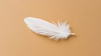Obraz premium Elegant single white feather on a pastel peach background with copy space