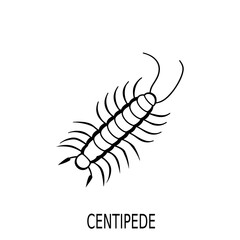 Creepy Centipede Line Art Vector Graphic for Nature Biology and Horror Themes