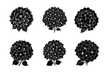 Hydrangea Silhouettes 6 Bold Floral Vector Designs