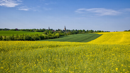 Obraz premium view to ratingen homberg with the two churches over rapeseed field at spring and blue sky
