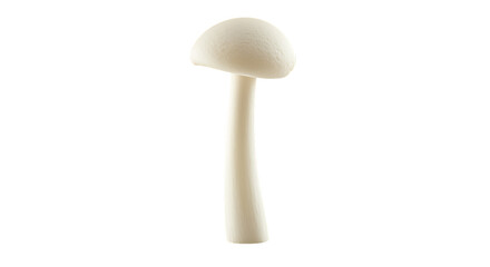 White Mushroom Isolated on Transparent Background