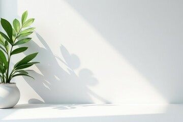 Clean minimalist aesthetic, pristine white backdrop, contemporary, branding