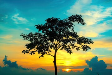 Fototapeta premium Silhouette of a solitary tree against a vibrant sunset sky with colorful clouds