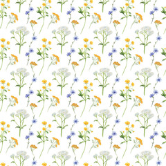 Seamless watercolor pattern featuring meadow flowers: cornflowers, chicory, yarrow, and tansy. Ideal for summer fabric, wrapping paper, and rustic floral projects.