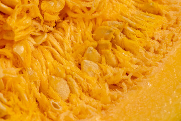preparing pumpkin for cooking, pumpkin seeds inside close up