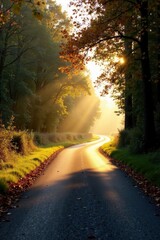 Sunlit Autumn Road Winding Through a Forest of Golden Hues