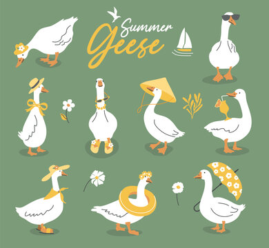 Cute geese set on green background. Goose character vector illustration. Funny white ducks in summer style. Cottage core farm bird mascot.