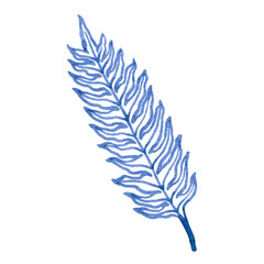 Obraz premium Watercolour hand drawn blue floral fern branch, foliage exotic plant, blue watercolour branch use as print, poster, element design, textile, fabric, invitation, clothes print, label, sticker. 