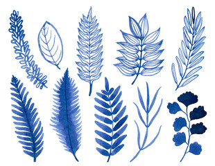 Watercolour hand drawn blue floral fern branch, foliage exotic plant, blue watercolour branch use as print, poster, element design, textile, fabric, invitation, clothes print, label, sticker.  © daria