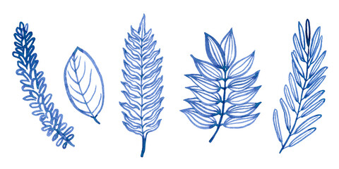 Watercolour hand drawn blue floral fern branch, foliage exotic plant, blue watercolour branch use as print, poster, element design, textile, fabric, invitation, clothes print, label, sticker.  © daria