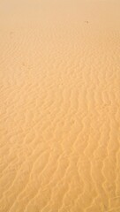 A sea of golden sand stretches across the frame, shaped by the wind into gentle, rippling patterns.