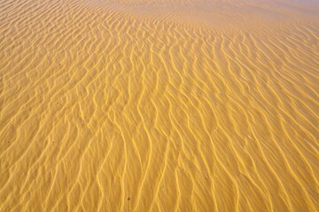 Sand dune ripples create a mesmerizing pattern, showcasing the wind's artistry on the desert's canvas.