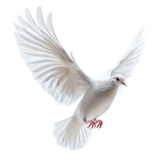 Fototapeta premium Graceful lion lounging in the sun png majestic wild cat png relaxed safari lion png regal feline resting png transparent background image