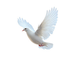 Obraz premium Graceful reindeer wandering the snowfield png peaceful arctic deer png elegant antler mammal png snowy wildlife png transparent background image