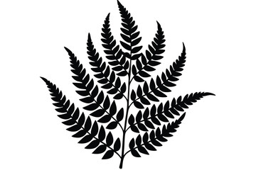 maidenhair fern silhouette vector illustration