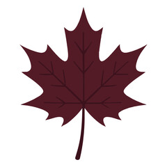 Naklejka premium Artistic Autumn Leaves Isolated on White Background