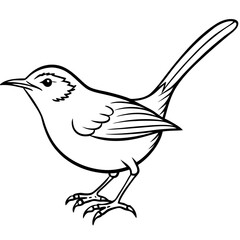 Minimal Common Tailorbird Vector on White