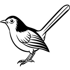 Minimal Common Tailorbird Vector on White