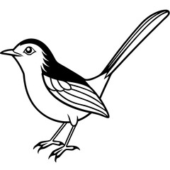 Minimal Common Tailorbird Vector on White