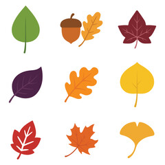 Obraz premium bundle of Vibrant Fall Leaf Illustrations with Natural Details