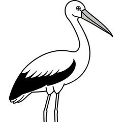 Minimal Painted Stork Vector on White