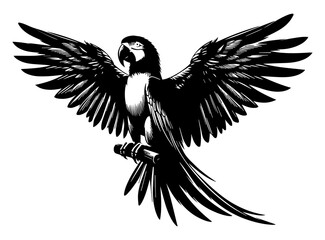 A black and white silhouette of a macaw parrot that has spread its wings and is flying on a white isolated background. Vector graphics. EPS.