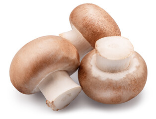 Three brown champignon mushrooms isolated on white background. File contains clipping path.