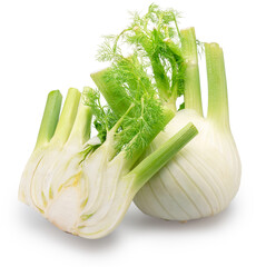 Florence fennel bulbs or finocchio bulbs on white background with clipping path.