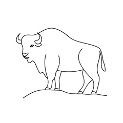Simple linear illustration of a majestic bison, a powerful symbol of the american west on a white background.