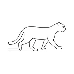 Simple outline illustration of a walking puma showing the silhouette of a wild cat isolated on a white background